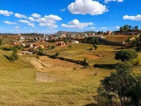 Terre agricole 10 000 m² à vendre — Fenoarivo - photo 3