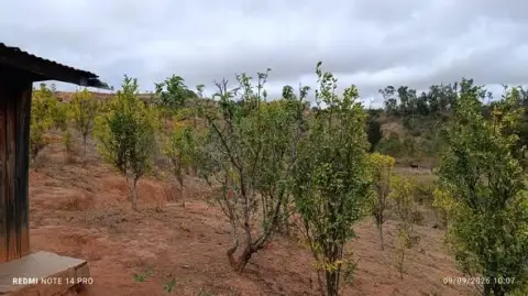 Terrain 6 060 m² à vendre — Alasora — 424 200 000 Ar | Fonenako