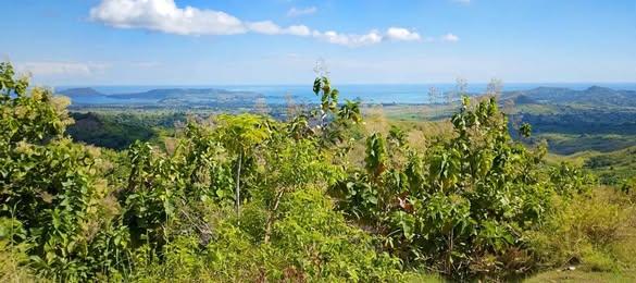 Terrain 6 000 m² à vendre — Nosy Be - photo 1