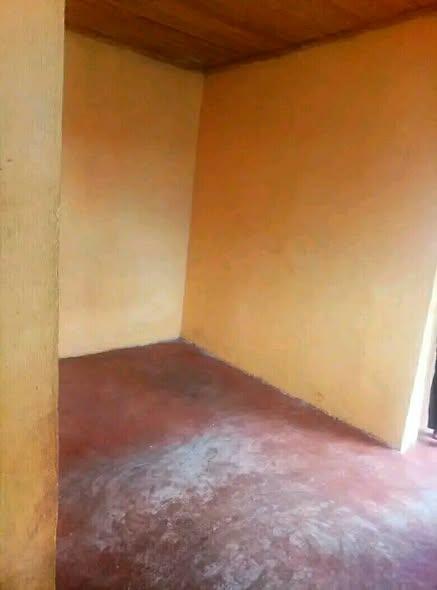 Trano Ahofa 2 ch. à louer — Imerinafovoany - photo 5