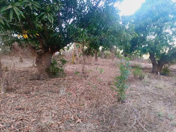 Terrain 375 m² à vendre — Mahajanga - photo 1
