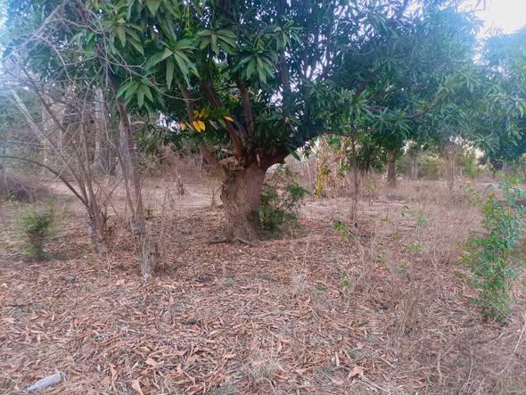 Terrain 375 m² à vendre — Mahajanga - photo 2