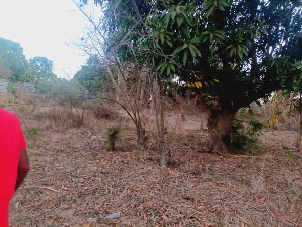 Terrain 375 m² à vendre — Mahajanga - photo 3