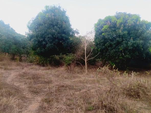 Terrain 375 m² à vendre — Mahajanga - photo 4