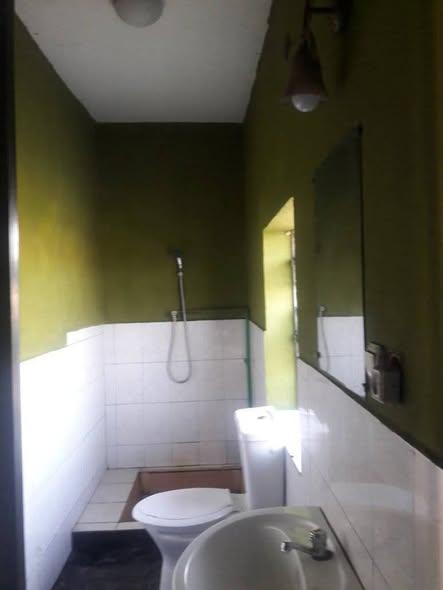 Trano Ahofa 2 ch. à louer — Manakambahiny - photo 3