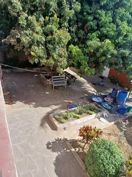 Maison 4 ch. 549 m² à vendre — Sabotsy Namehana - photo 5