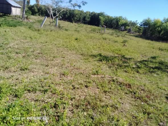 Terrain 1 500 m² à vendre — Nosy Be - photo 2