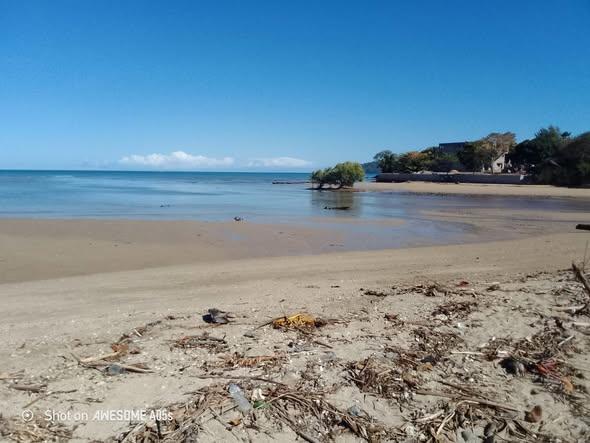 Terrain 1 500 m² à vendre — Nosy Be - photo 3