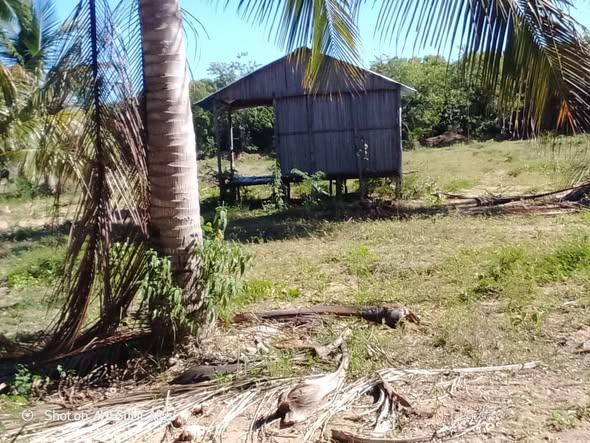 Terrain 1 500 m² à vendre — Nosy Be - photo 4
