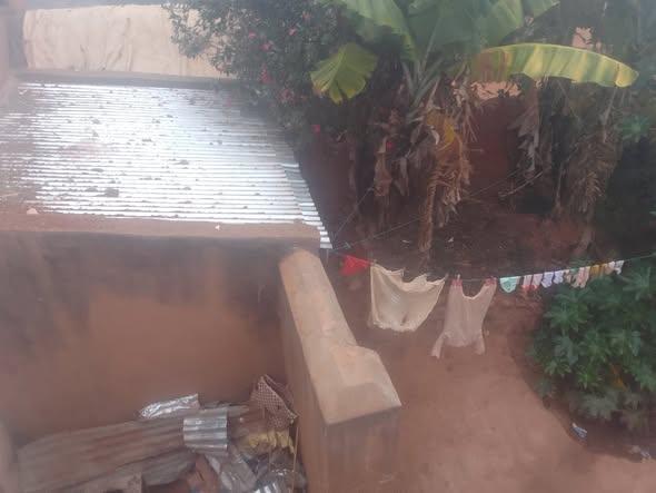 Maison 300 m² à vendre — Ambohidahy - photo 4