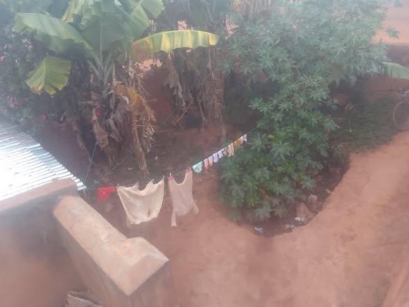 Maison 300 m² à vendre — Ambohidahy - photo 5