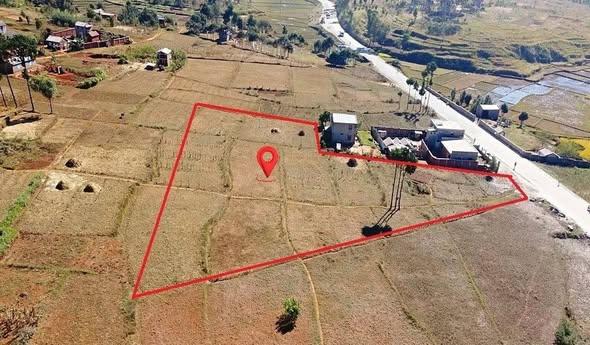 Terrain 5 000 m² à vendre — Mahazo · 25 000 Ar/m² - photo 1