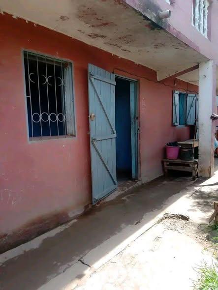 Trano Ahofa 1 ch. à louer — Ambany - photo 2