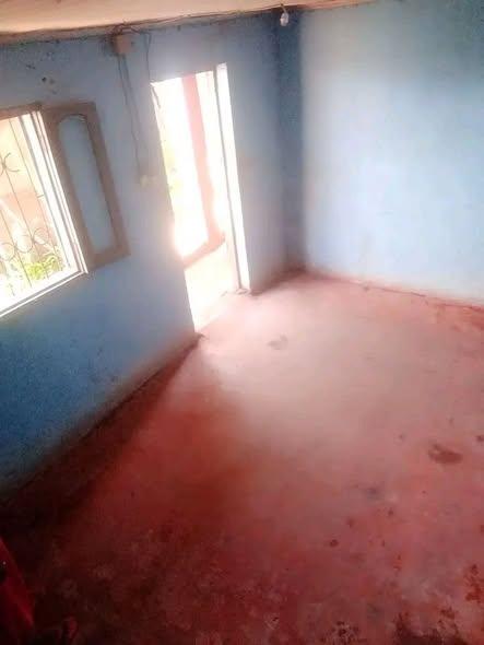 Trano Ahofa 1 ch. à louer — Ambany - photo 3