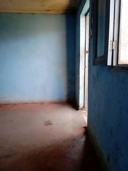Trano Ahofa 1 ch. à louer — Ambany - photo 5