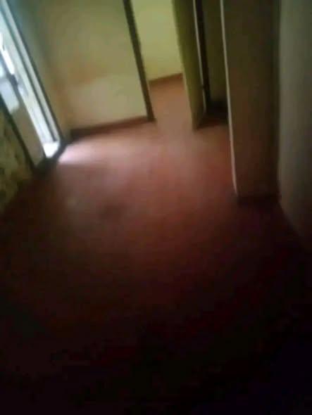Trano Ahofa 2 ch. à louer — Ambohijatovo - photo 1