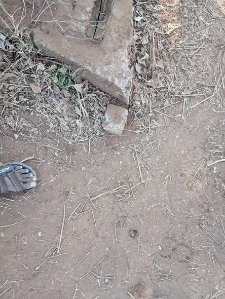 Terrain 300 m² à vendre — Mahajanga - photo 4