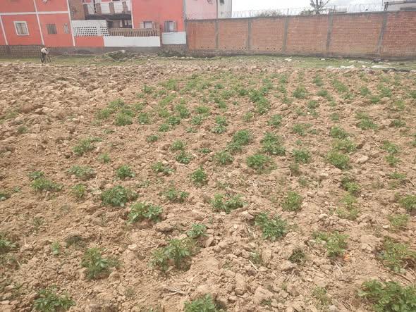 Terrain 600 m² à vendre — Bypass - photo 3