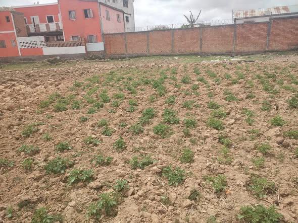 Terrain 600 m² à vendre — Bypass - photo 4