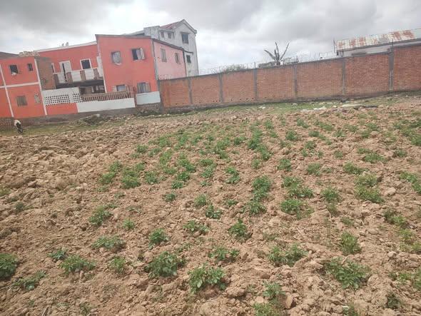 Terrain 600 m² à vendre — Bypass - photo 5