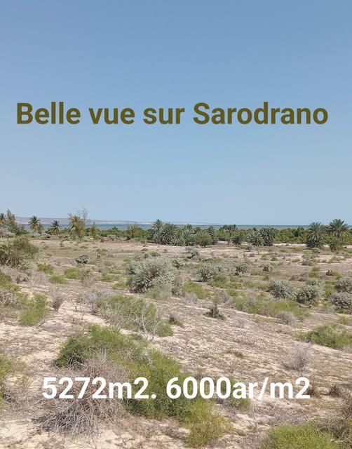Terrain 5 272 m² à vendre — Toliara · 6 000 Ar/m² - photo 1