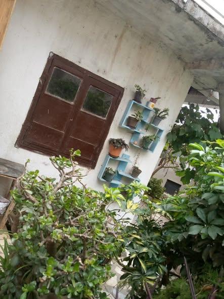 Trano Ahofa 1 ch. à louer — Manakambahiny - photo 5