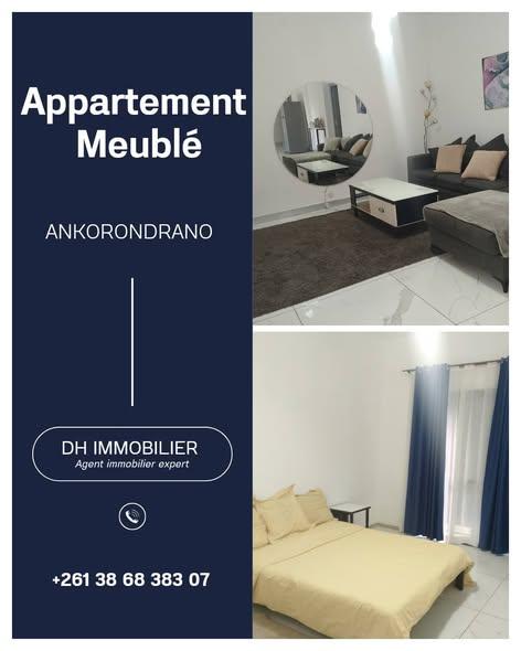 Immeuble 3 ch. à louer — Ankorondrano - photo 1