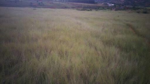 Terrain 4 500 m² à vendre — Ambohimanga Rova - photo 1