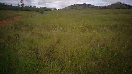 Terrain 4 500 m² à vendre — Ambohimanga Rova - photo 3
