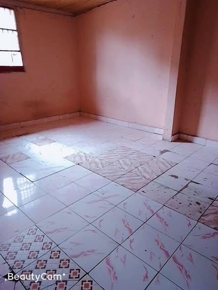 Trano Ahofa 1 ch. à louer — 67ha - photo 2