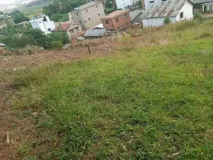 Terrain titré et borné 1000 m² à vendre — Ambohimangakely, Antananarivo - photo 3