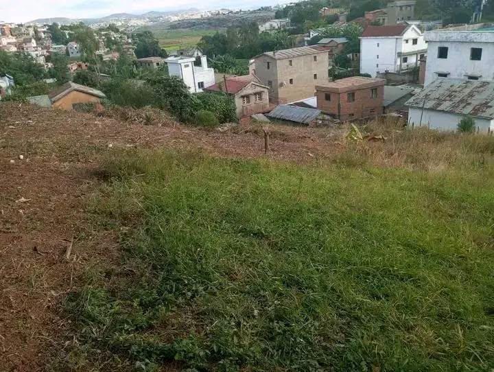Terrain titré et borné 1000 m² à vendre — Ambohimangakely, Antananarivo - photo 4