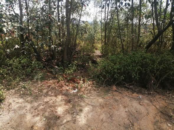 Terrain 30 000 m² à vendre — Moramanga - photo 4