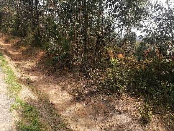 Terrain 30 000 m² à vendre — Moramanga - photo 5