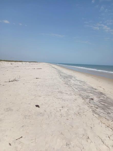 Terrain 110 000 m² à vendre — Morondava - photo 1