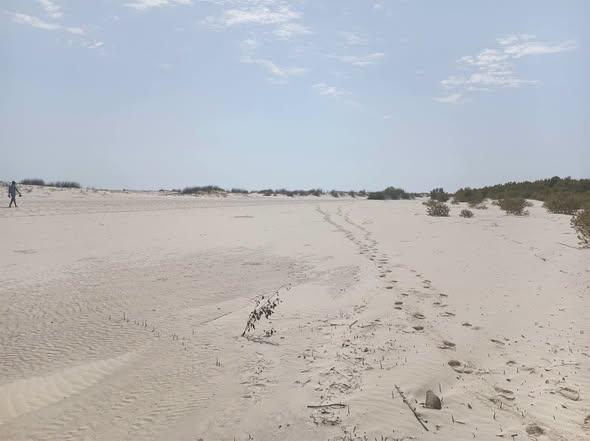 Terrain 110 000 m² à vendre — Morondava - photo 3