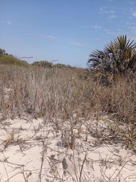 Terrain 110 000 m² à vendre — Morondava - photo 4