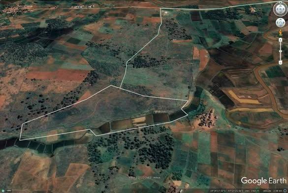 Terre agricole 30 000 m² à vendre — Antsirabe - photo 3