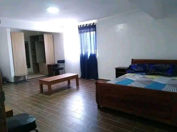 Appartement 1 ch. à louer — Ambatobe - photo 3