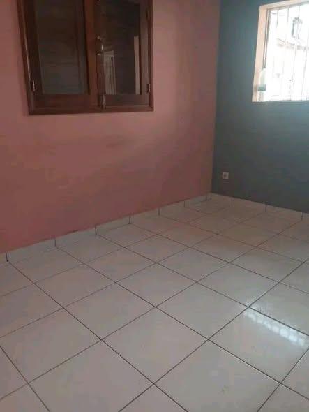 Trano Ahofa 2 ch. à louer — Ankadifotsy - photo 4