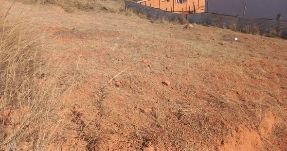 Terrain à vendre — Ambohimiadana - photo 2