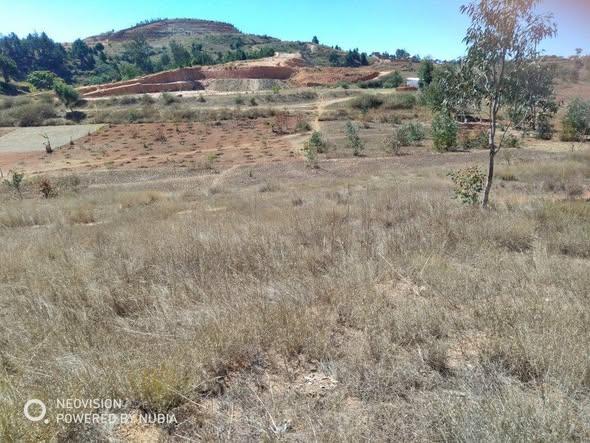 Terrain 50 000 m² à vendre — Ambohimanambola - photo 3