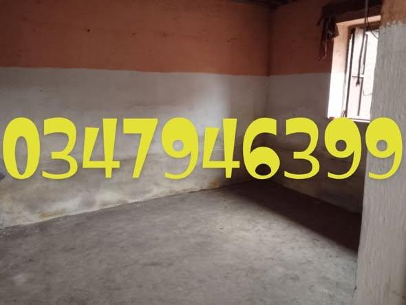 Maison 1 ch. à louer — 67ha - photo 1