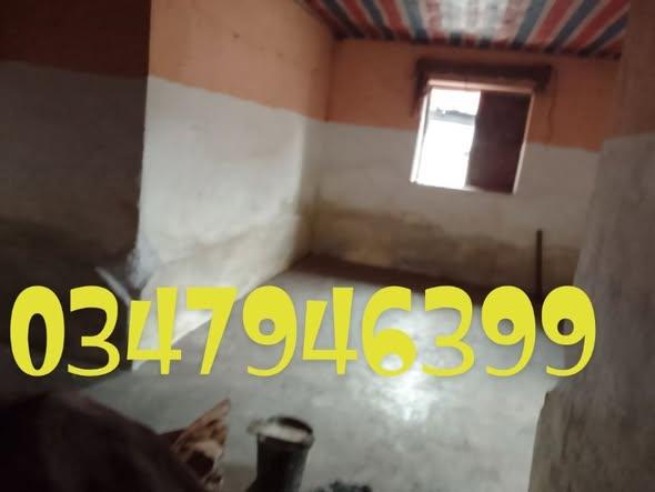 Maison 1 ch. à louer — 67ha - photo 3