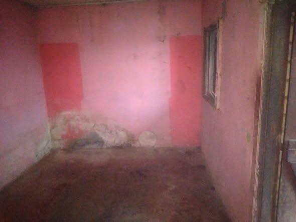 Maison 2 ch. à louer — Itaosy - photo 2