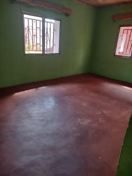 Trano Ahofa à louer — Ambodivoanjo - photo 4