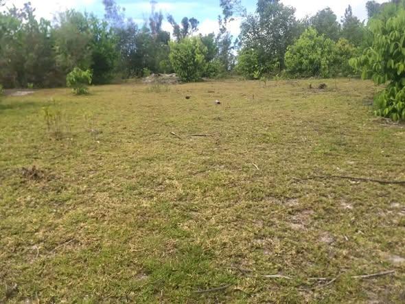 Terrain 70 000 m² à vendre — Toamasina - photo 2