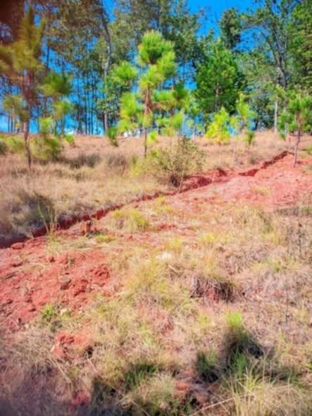 Terrain à vendre — Imerintsiatosika - photo 2