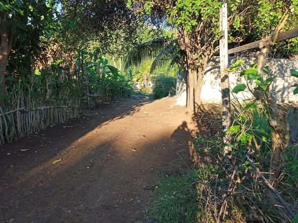 Terrain 300 m² à vendre — Nosy Be - photo 2