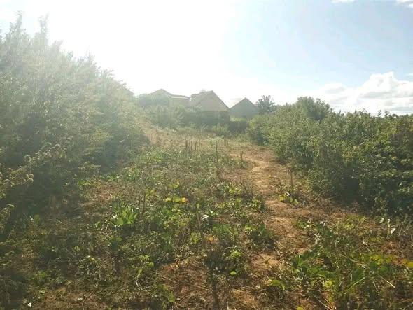 Terrain 300 m² à vendre — Itaosy - photo 1